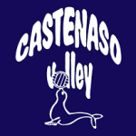 Logo Castenaso Volley