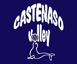 Logo Castenaso Volley